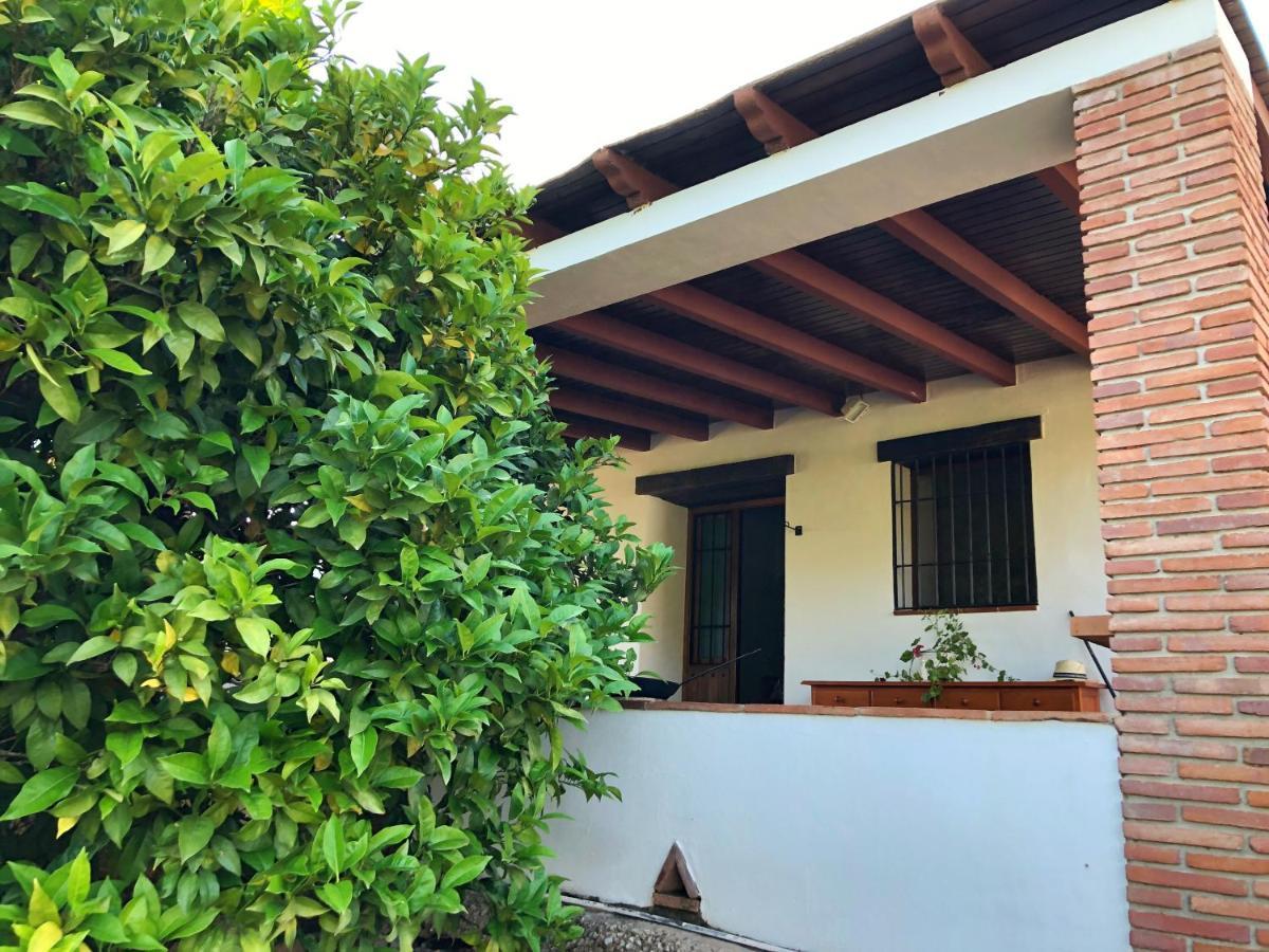Villa Bonita Nerja Eksteriør bilde